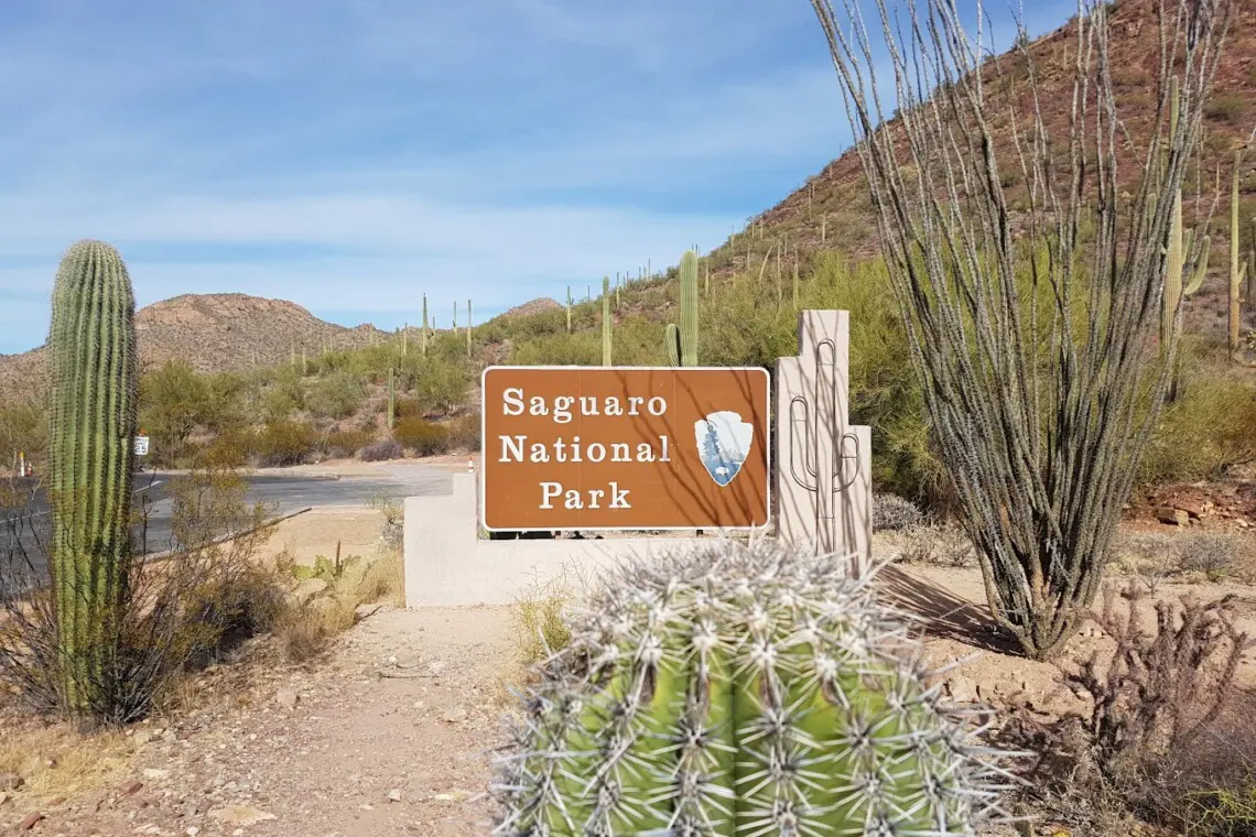 Saguaro National Park