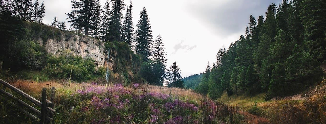 Lincoln National Forest