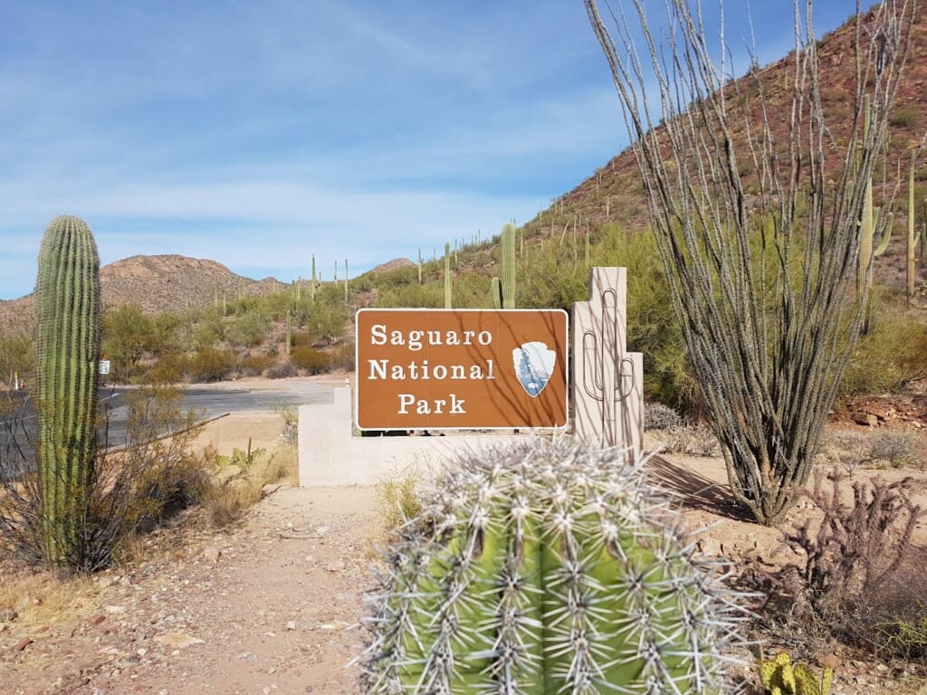 Saguaro National Park