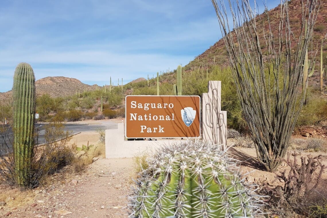 Saguaro National Park