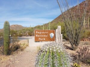 Saguaro National Park